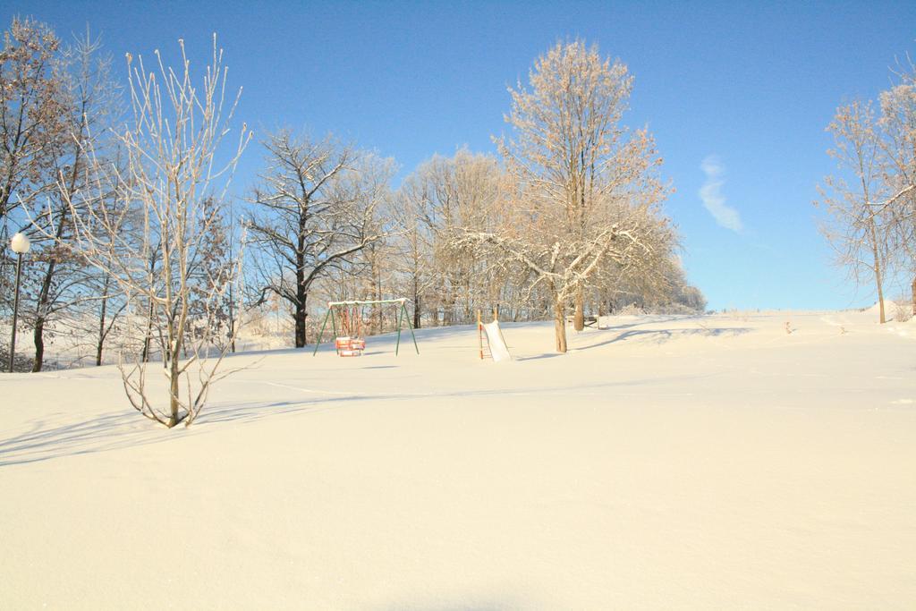 Agroturystyka Ulima Dziwiszow Exteriér fotografie