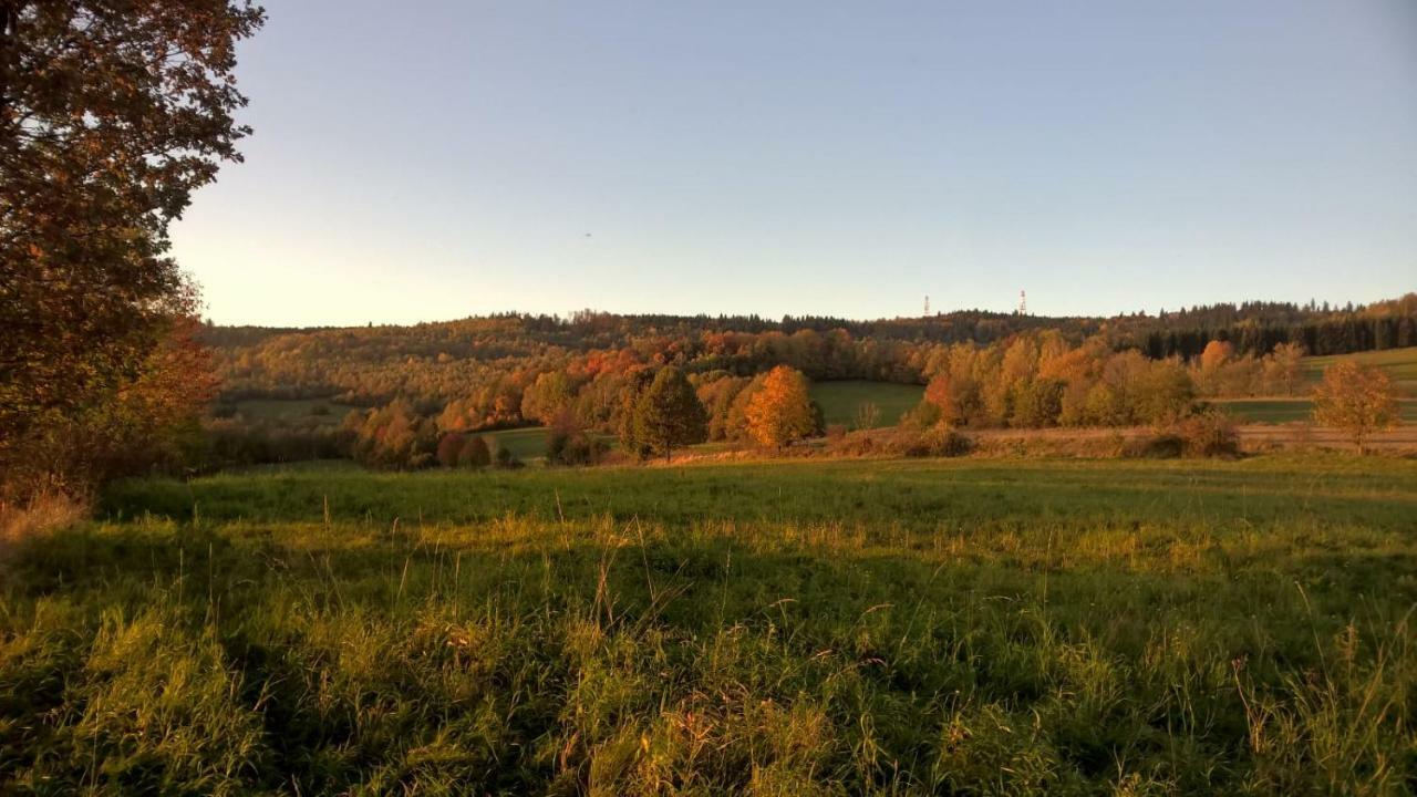 Agroturystyka Ulima Dziwiszow Exteriér fotografie