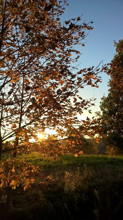 Agroturystyka Ulima Dziwiszow Exteriér fotografie